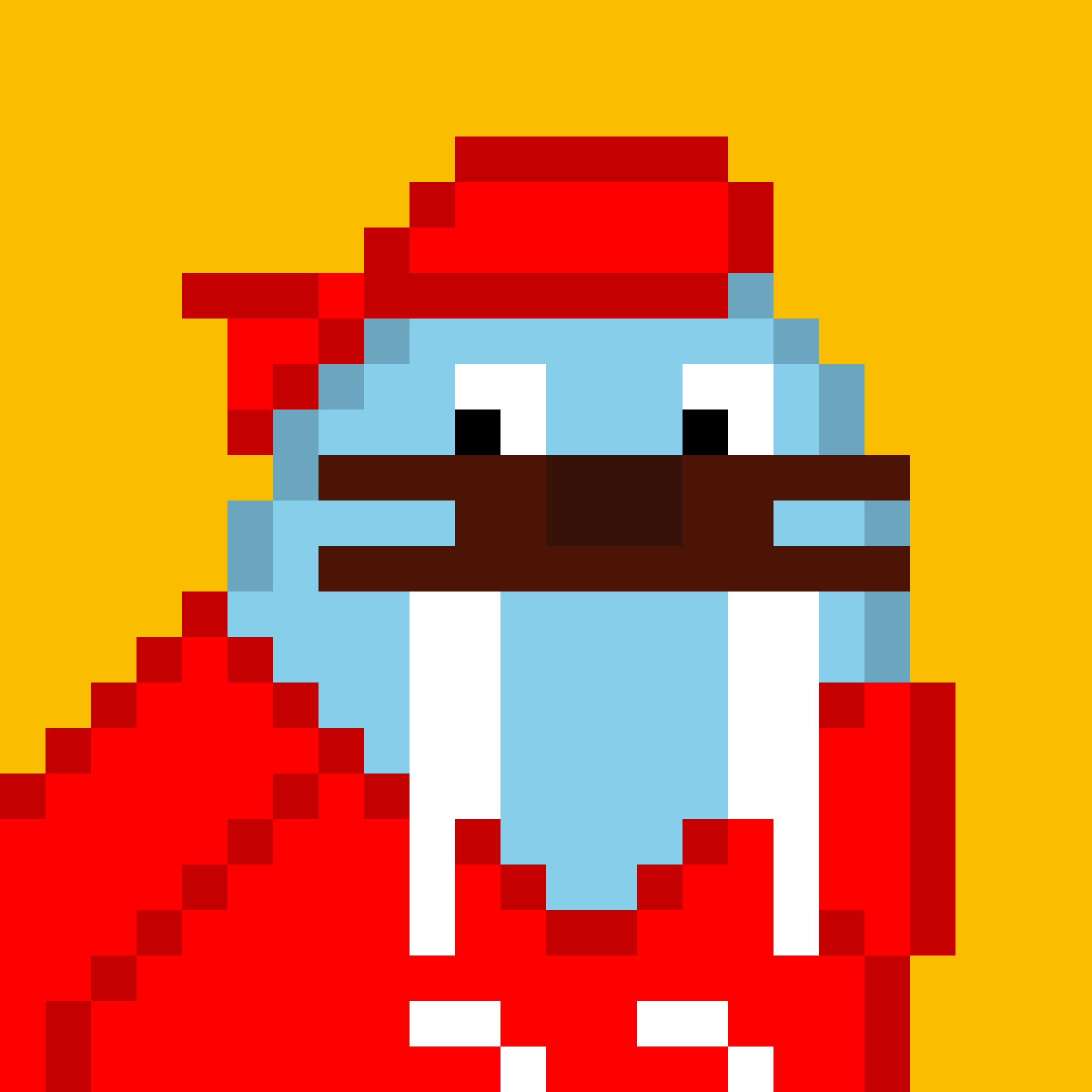 Front for Frosty Walrus #345