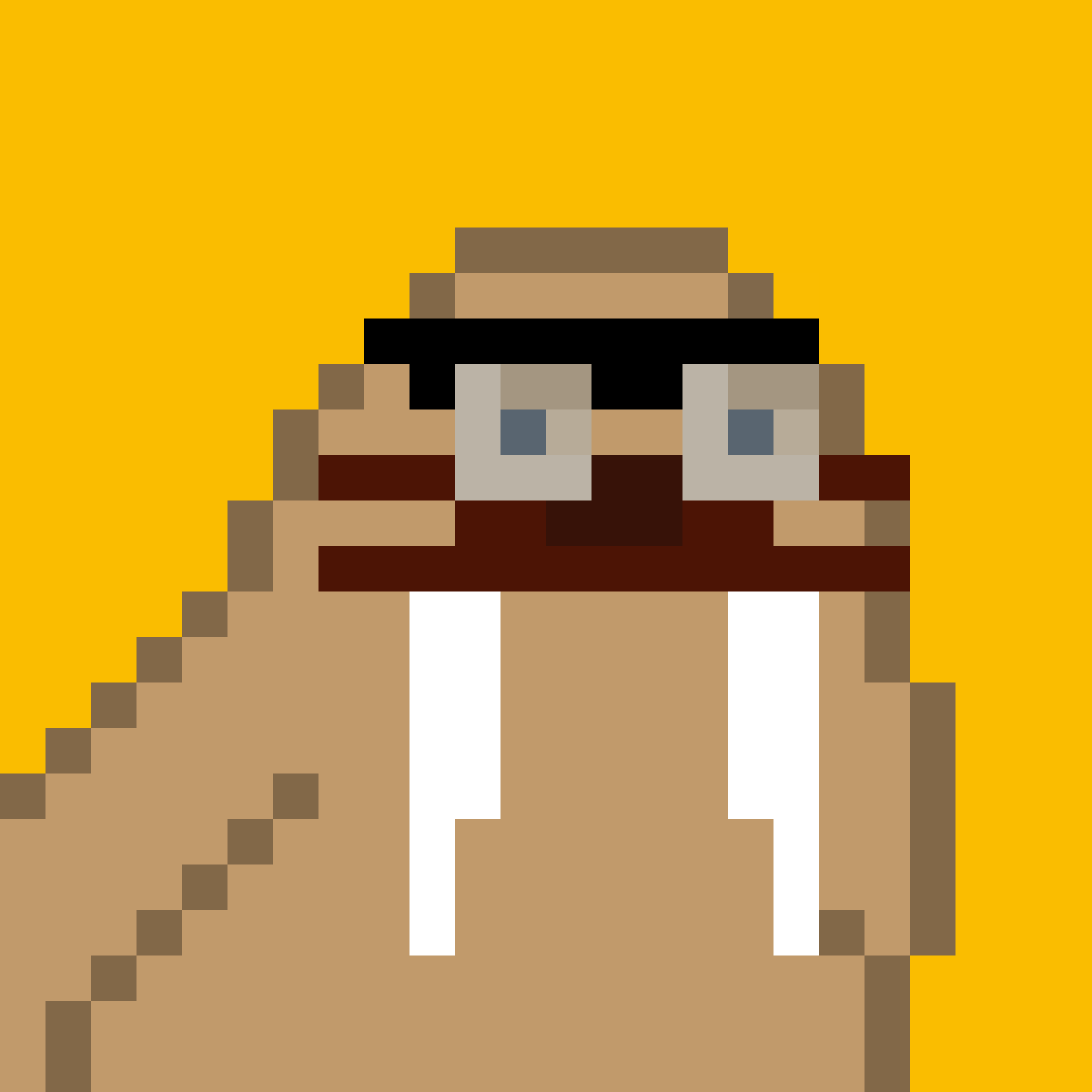 Public for Frosty Walrus #494