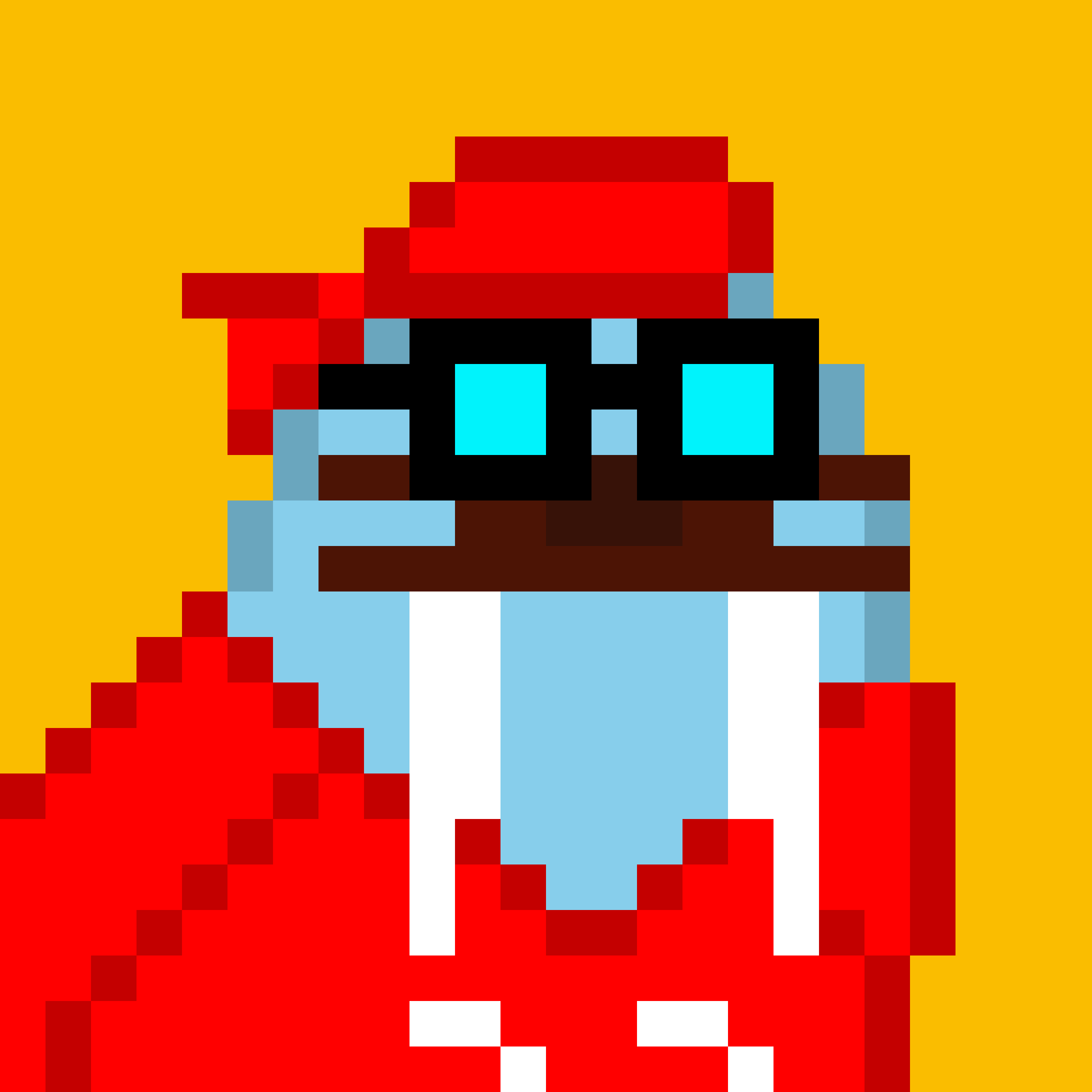 Public for Frosty Walrus #107
