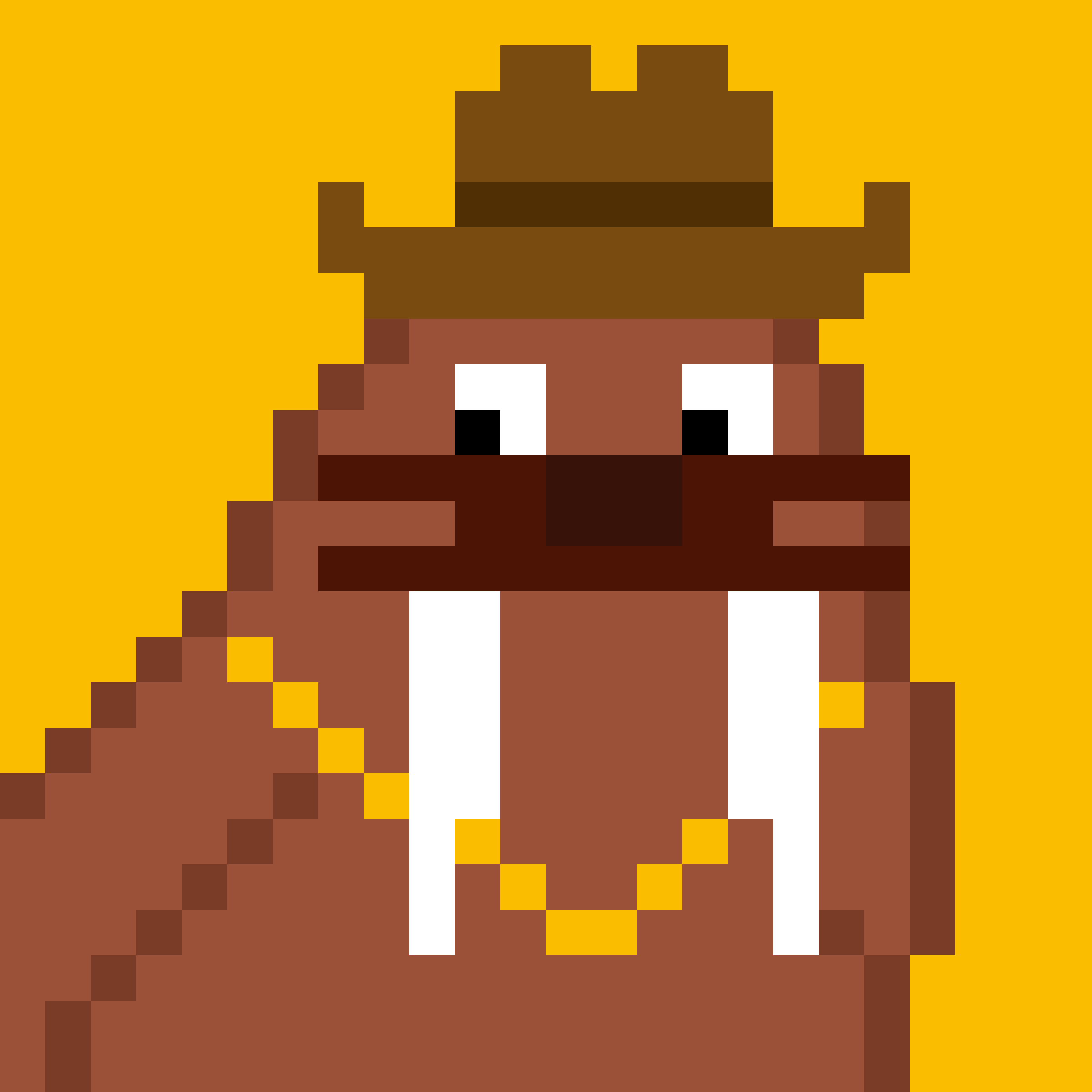 Public for Frosty Walrus #538