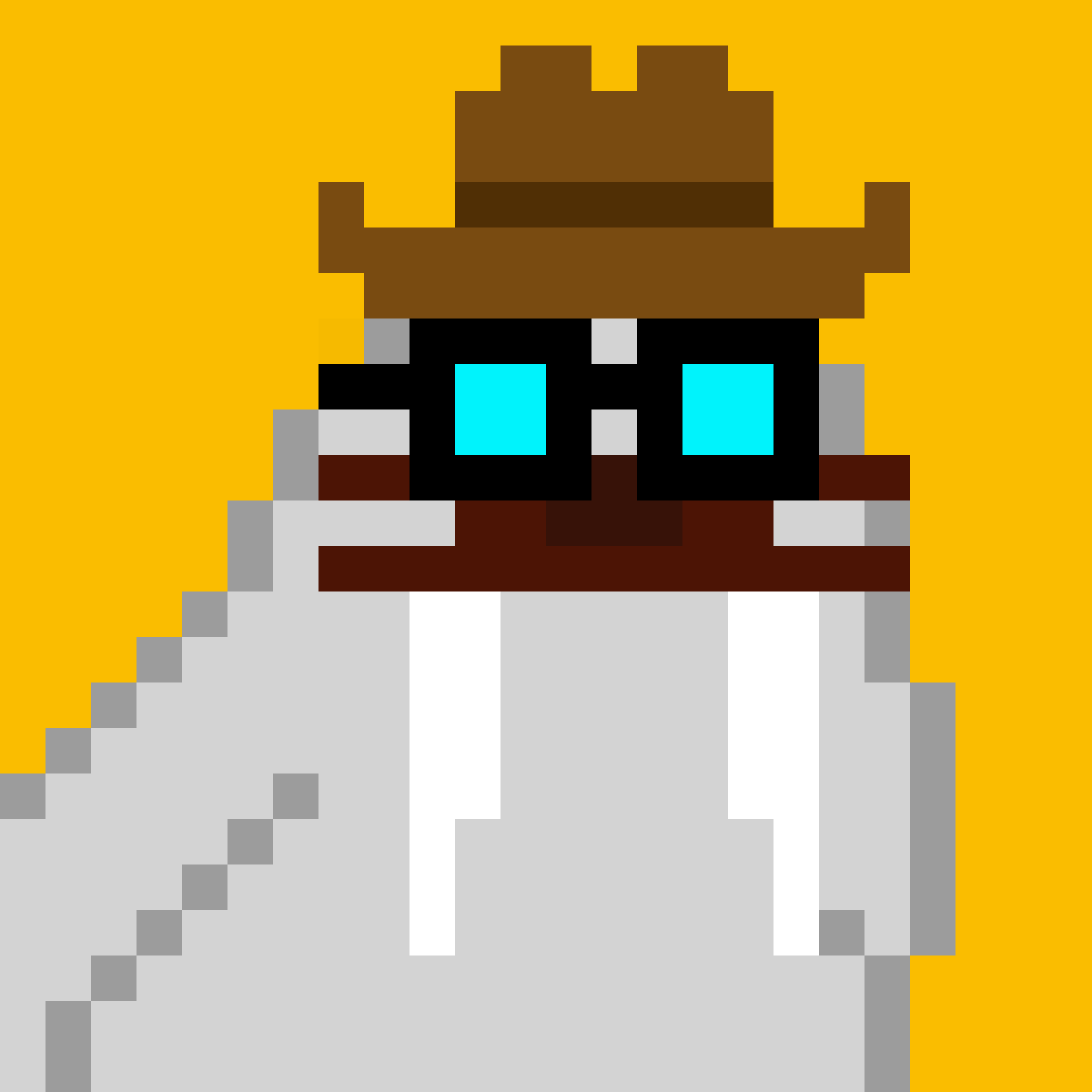 Public for Frosty Walrus #628