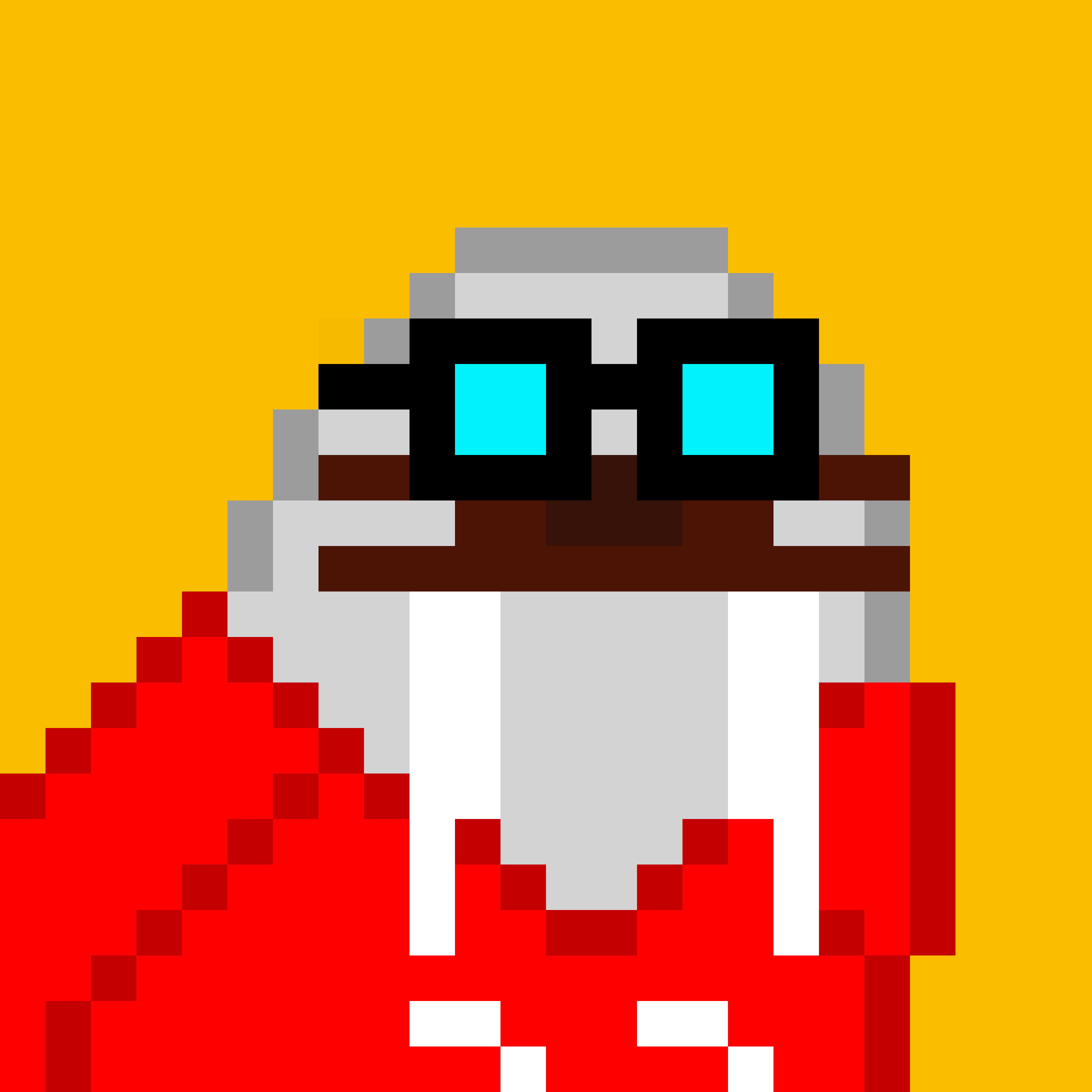 Front for Frosty Walrus #257