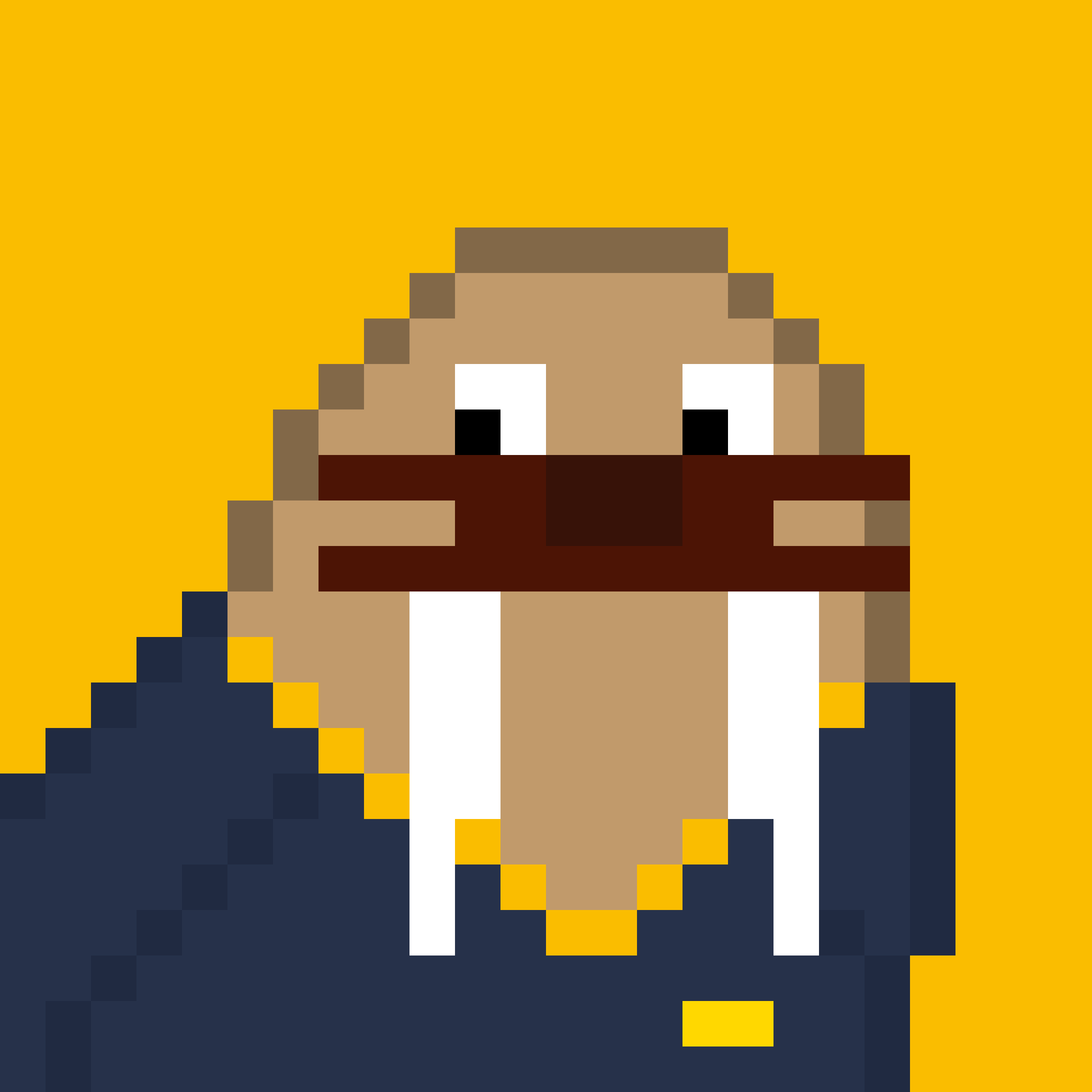 Front for Frosty Walrus #384