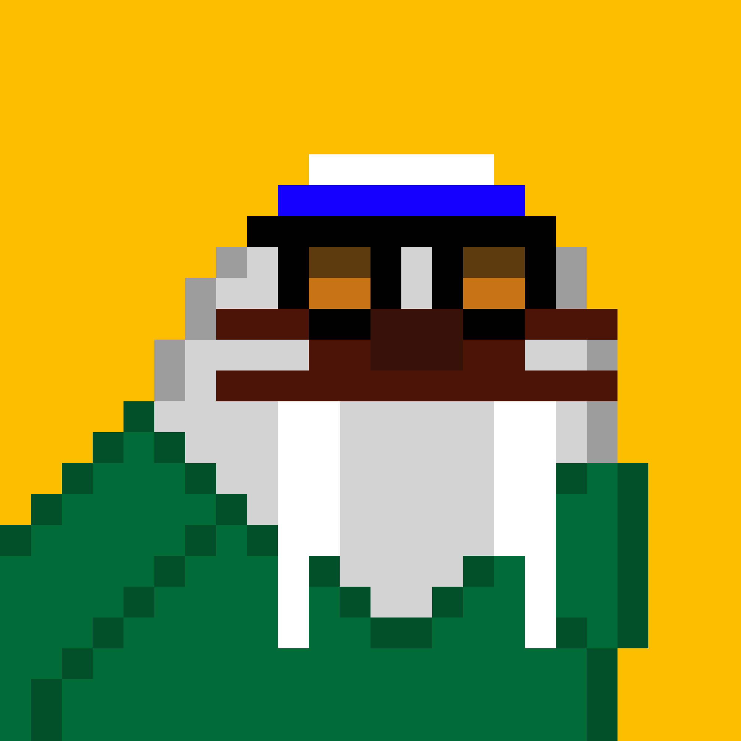 Front for Frosty Walrus #563