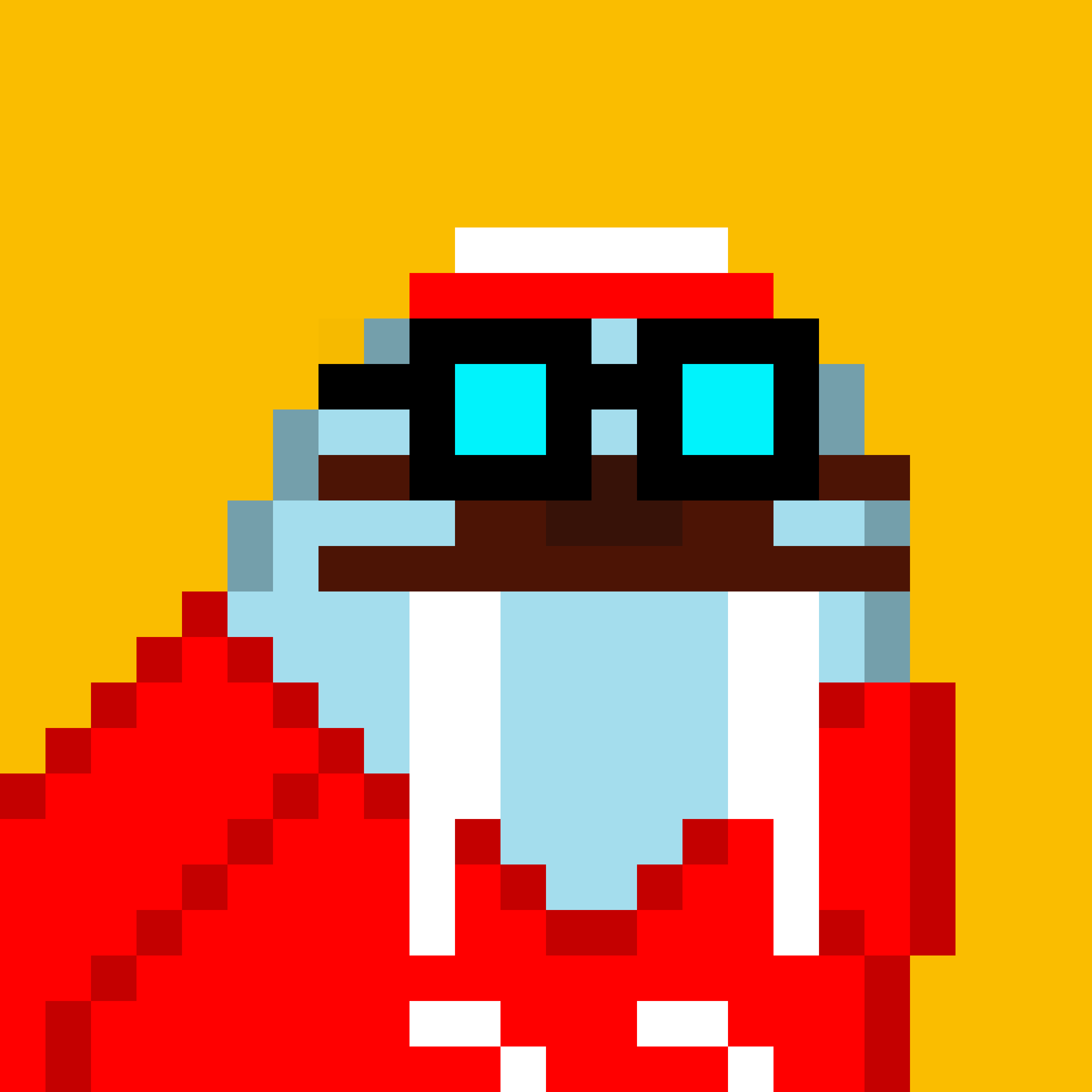 Public for Frosty Walrus #079