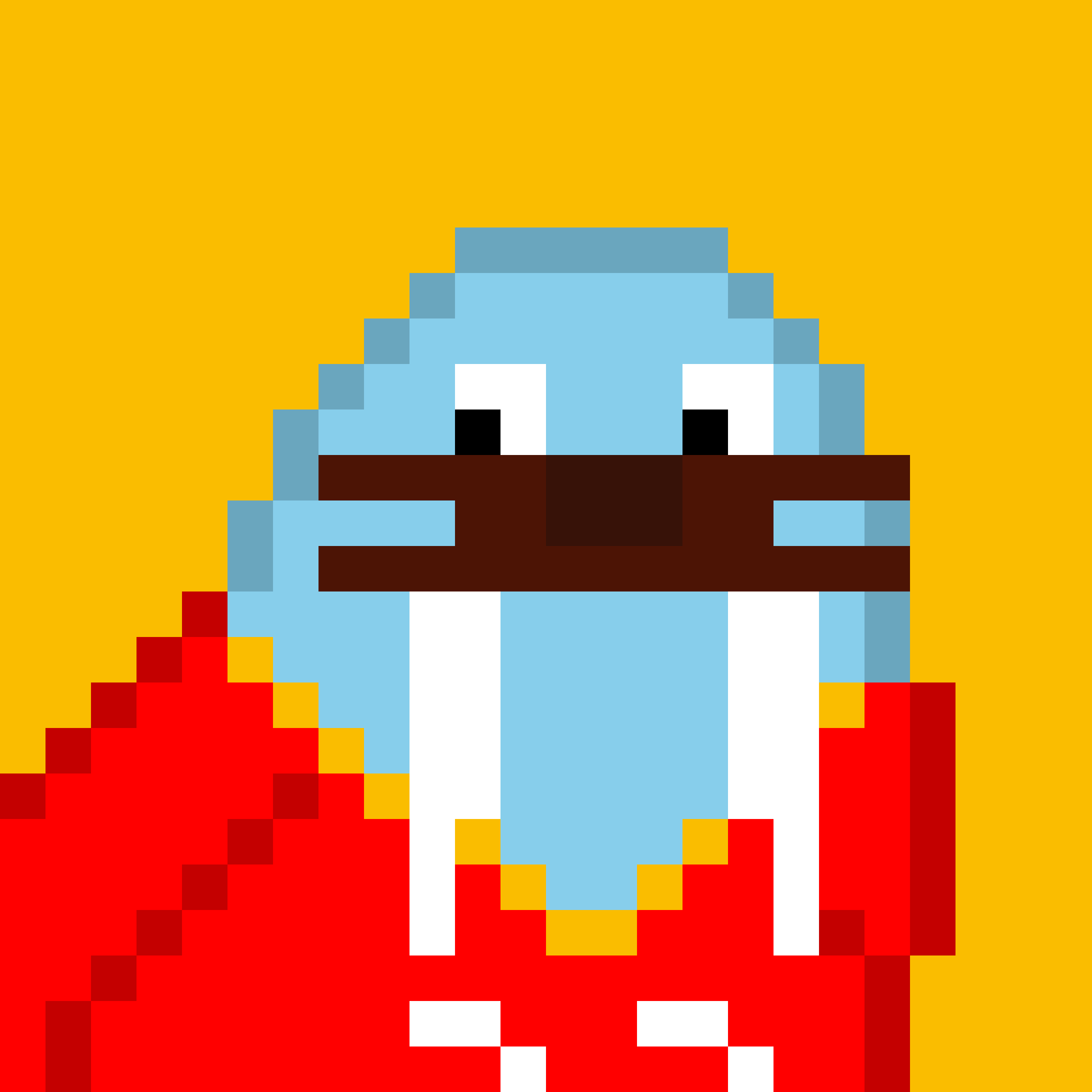 Front for Frosty Walrus #305