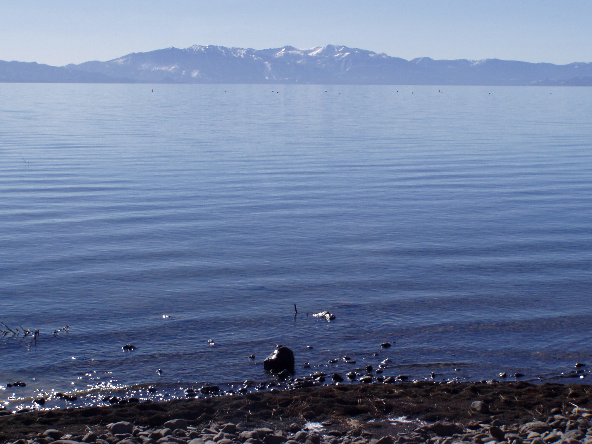 Front for lake tahoe