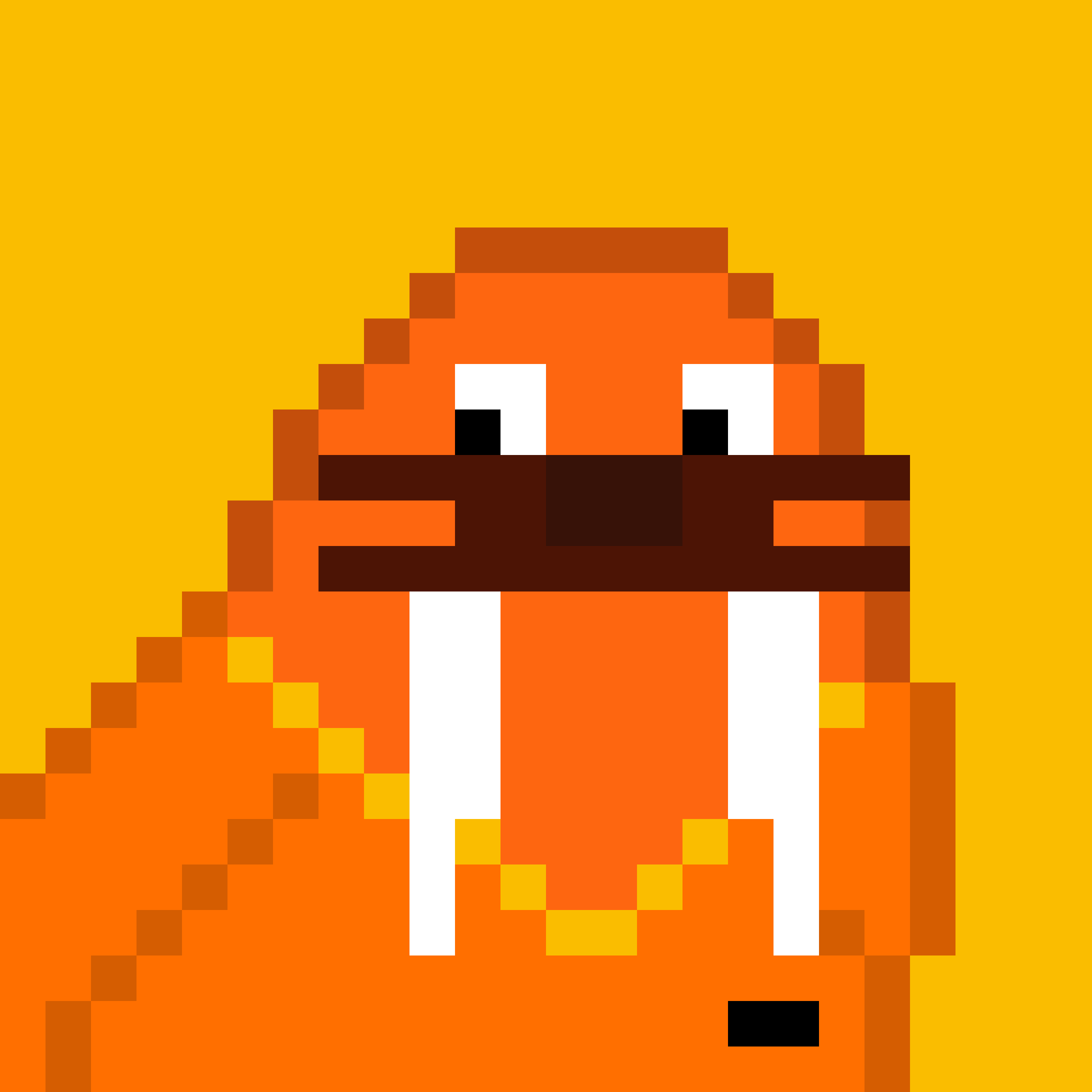 Front for Frosty Walrus #887