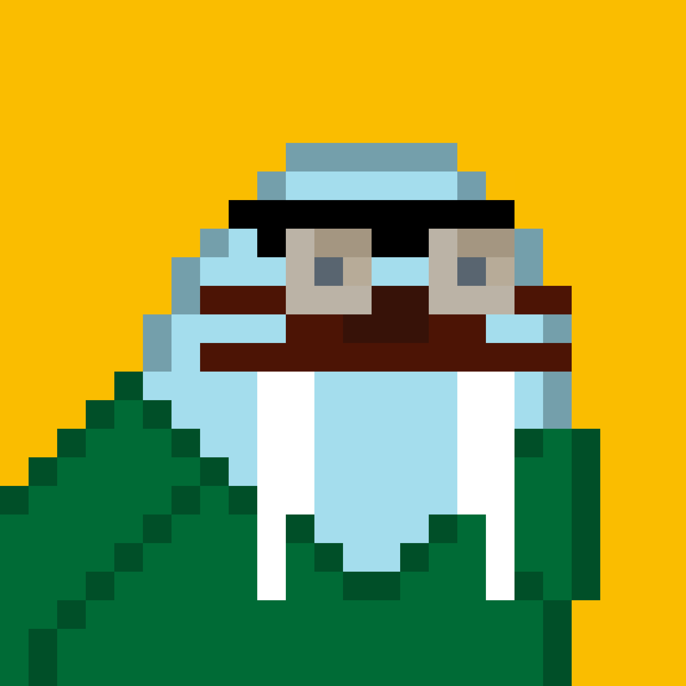 Public for Frosty Walrus #084