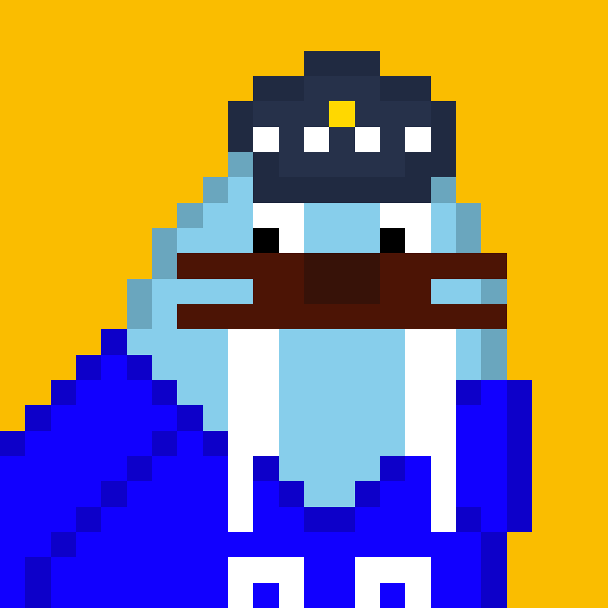 Front for Frosty Walrus #900