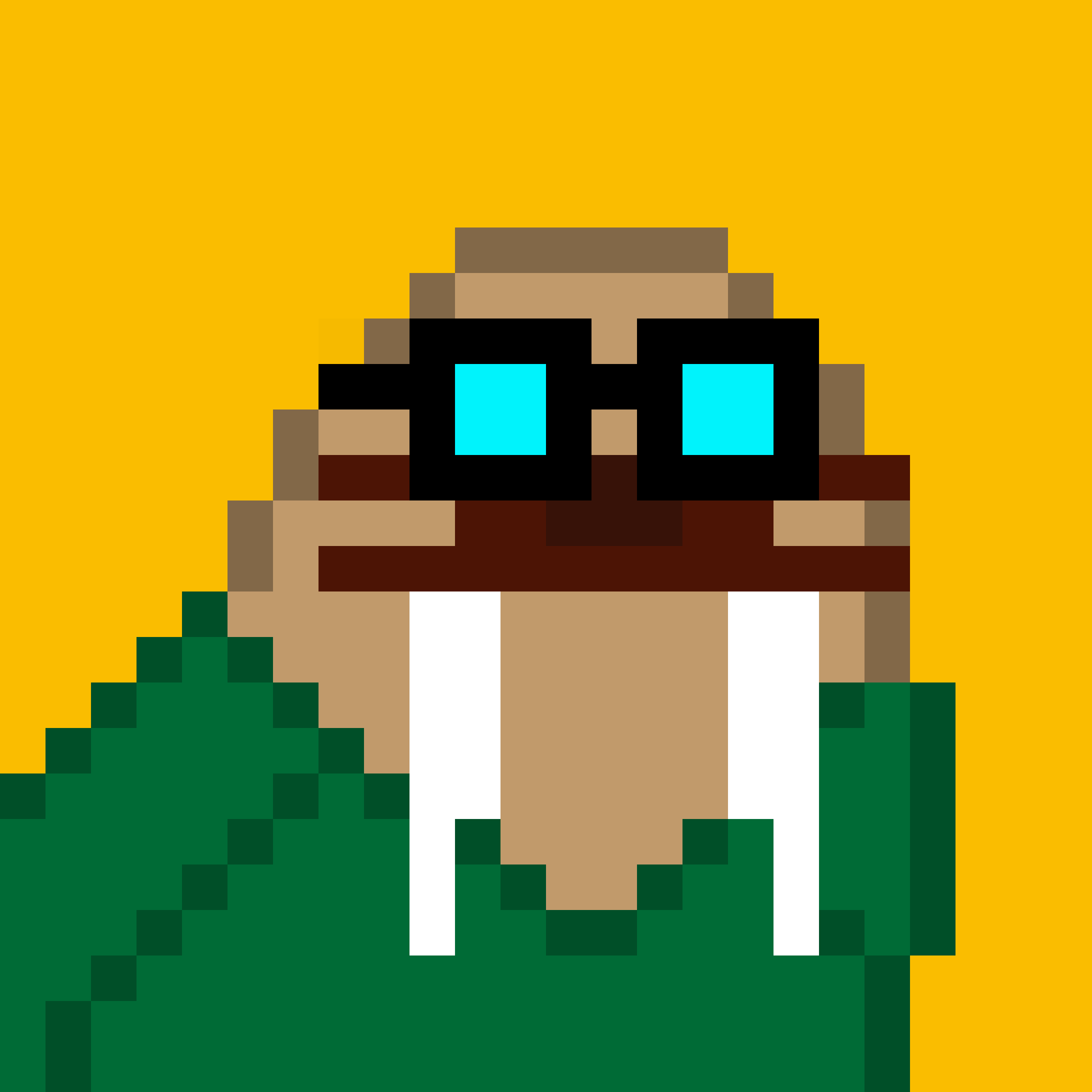 Public for Frosty Walrus #198