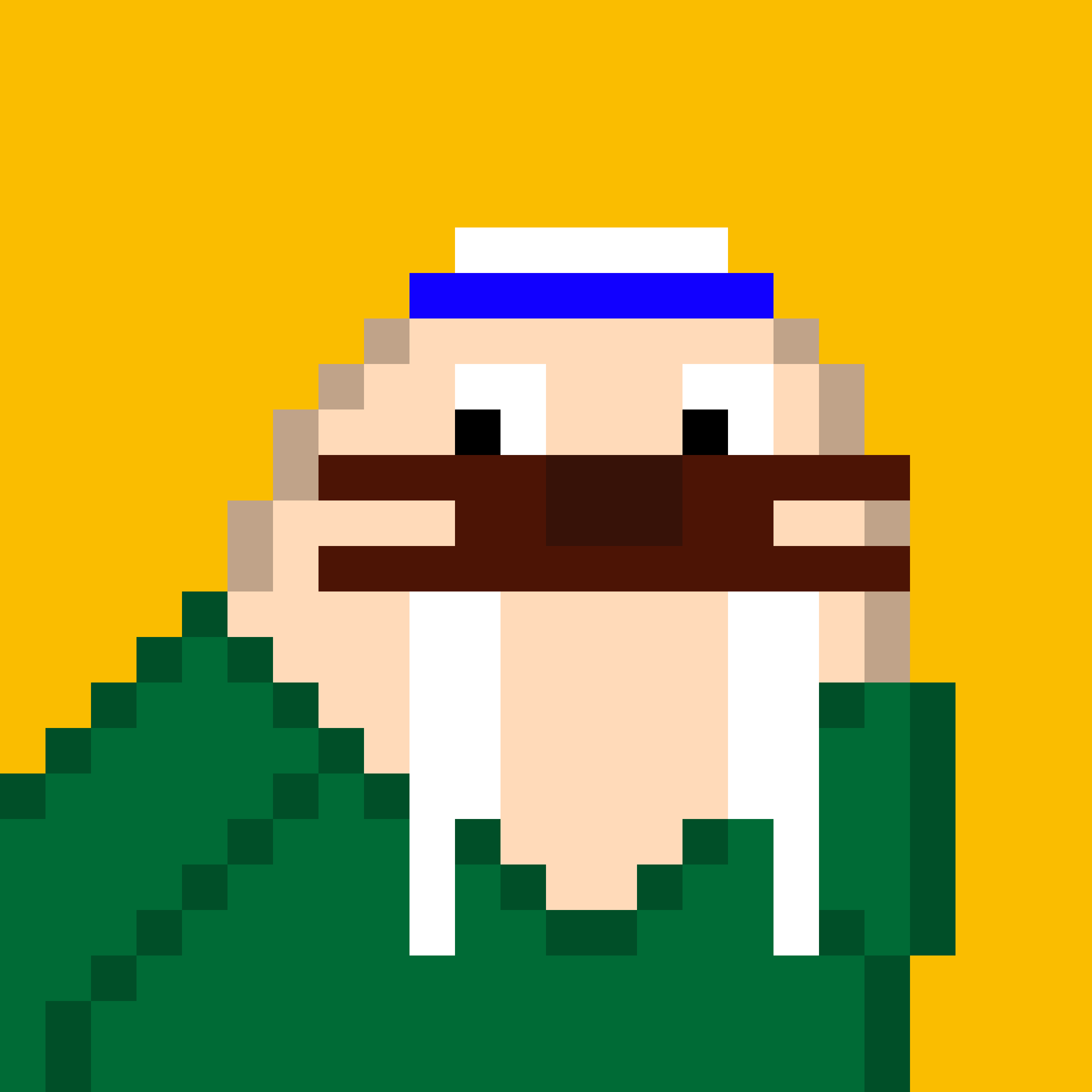 Public for Frosty Walrus #171