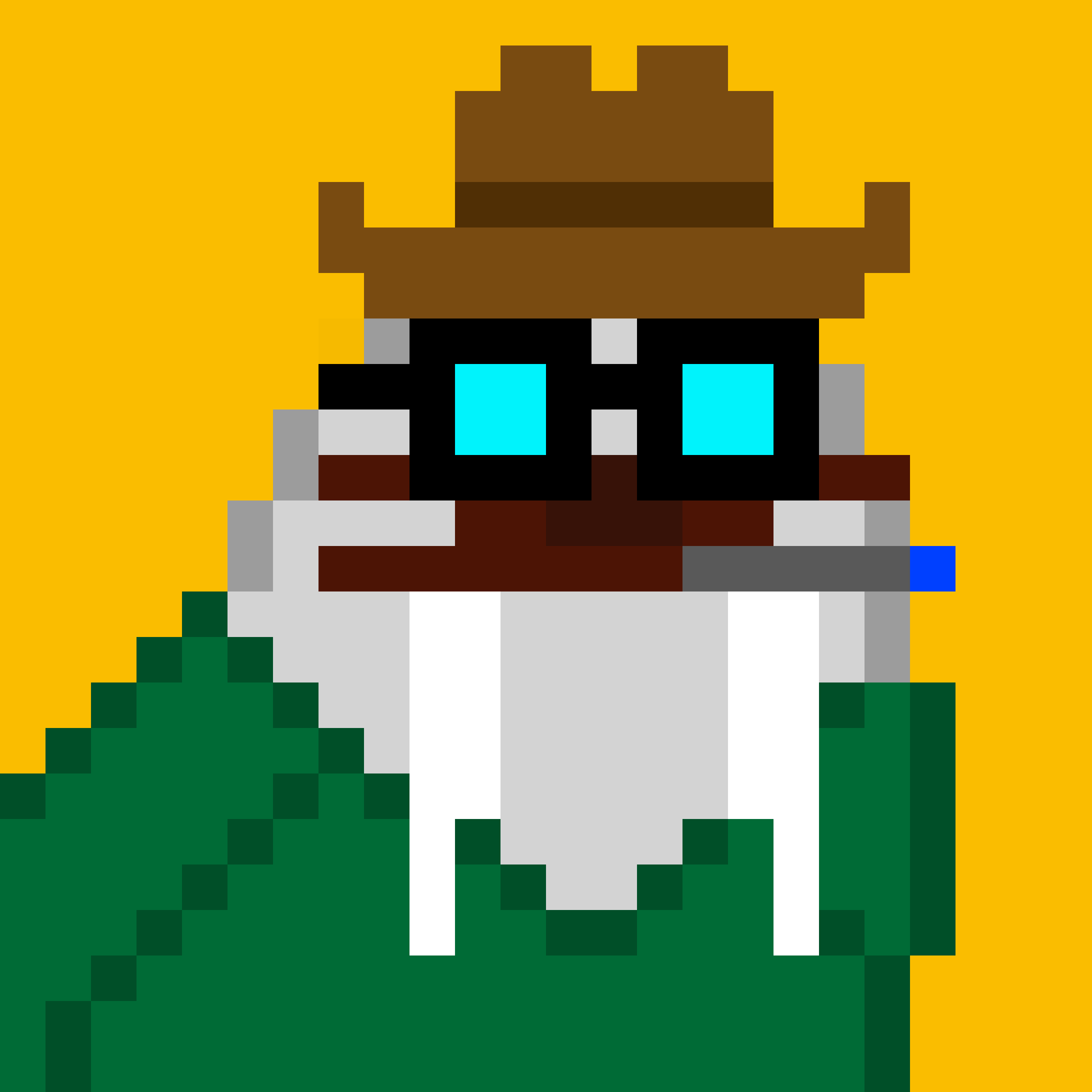Public for Frosty Walrus #075