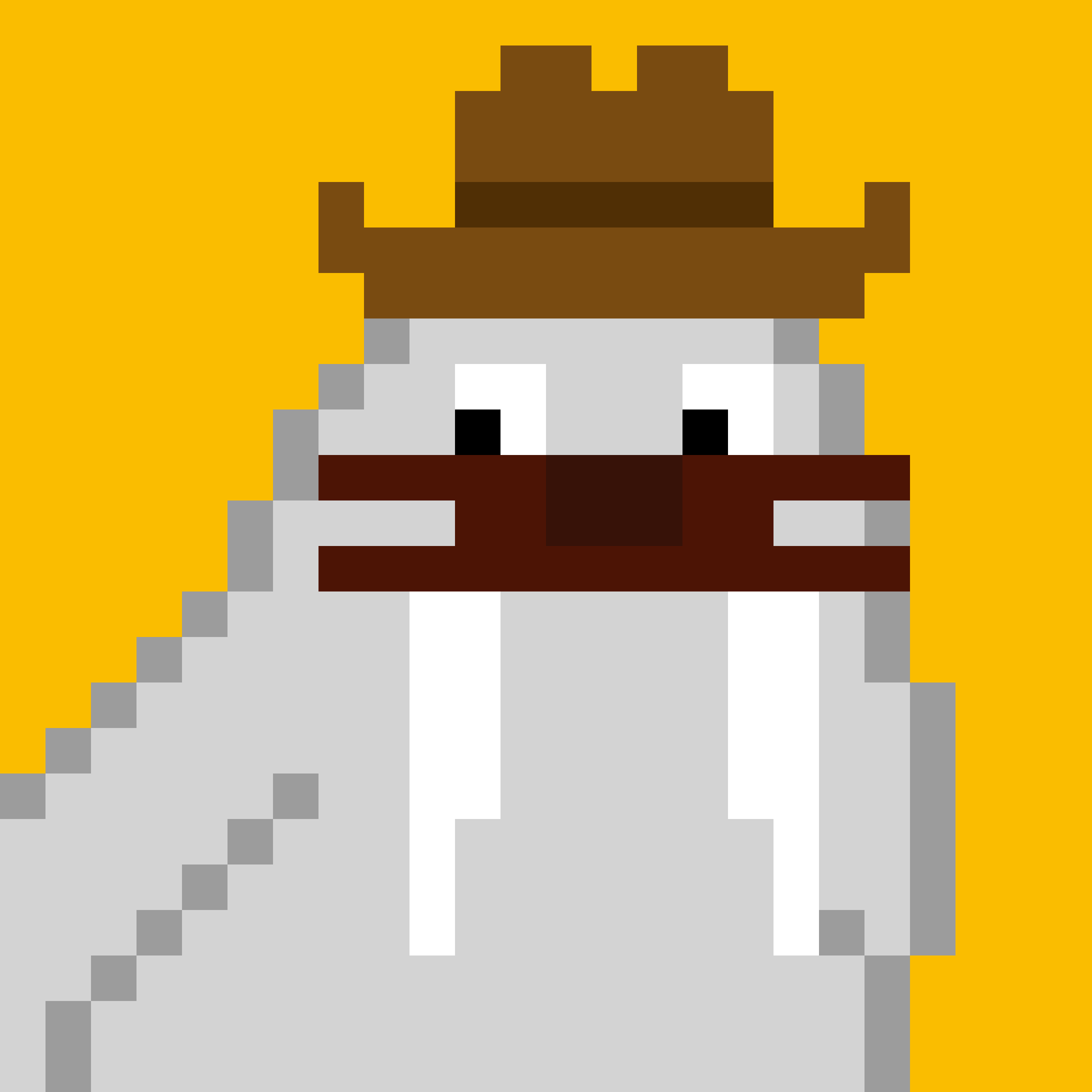 Public for Frosty Walrus #060