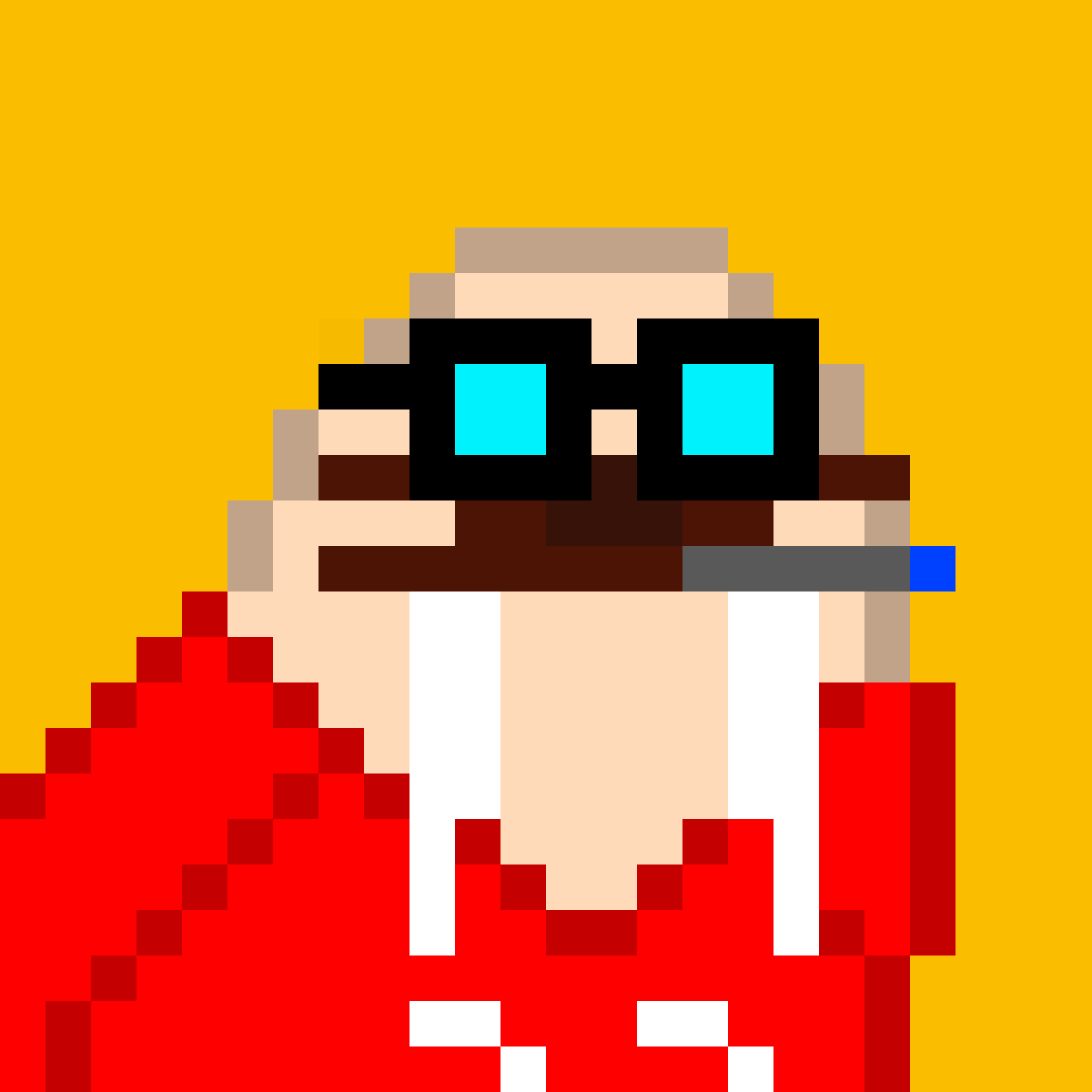 Public for Frosty Walrus #040