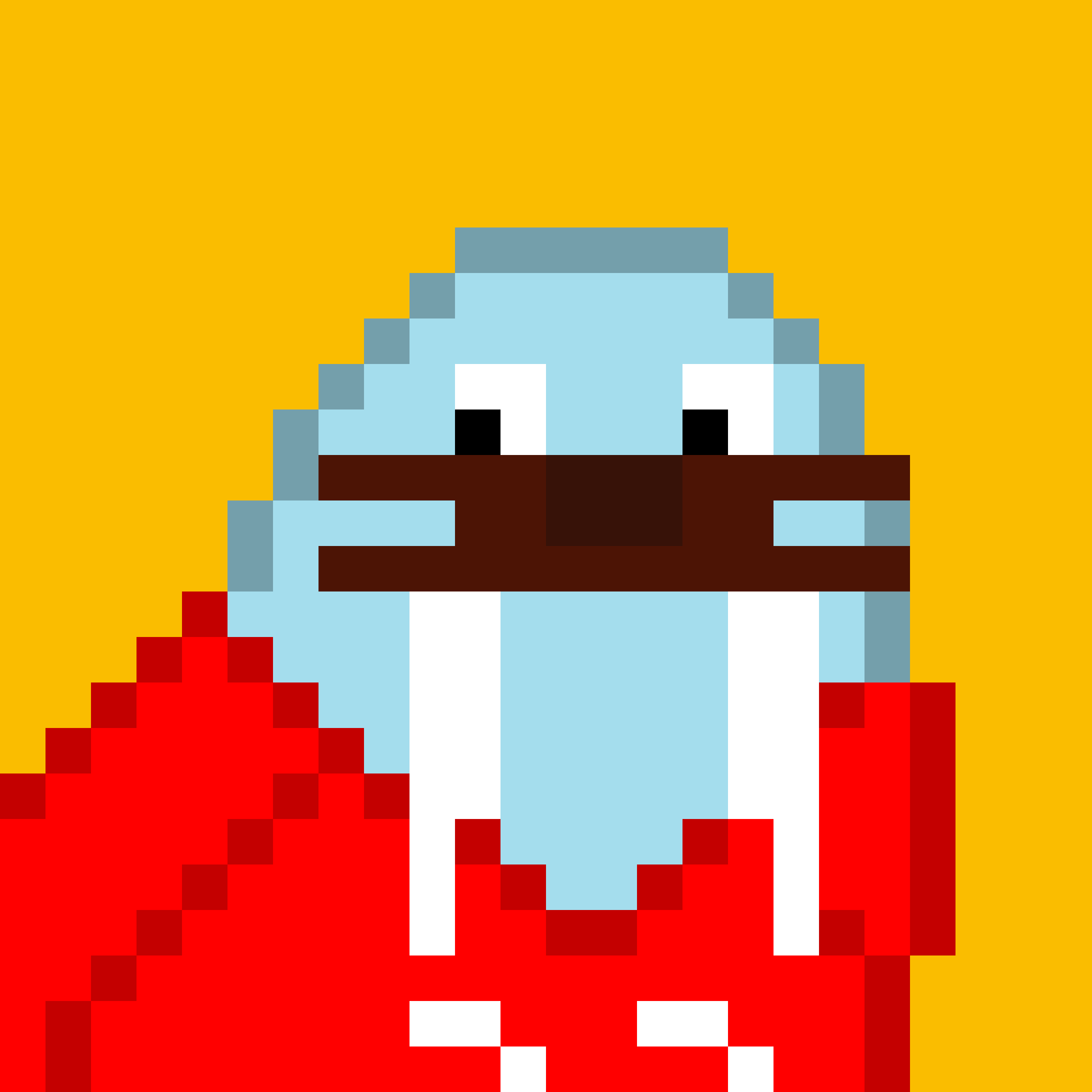 Front for Frosty Walrus #693