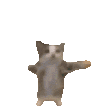 Front for Dance your tail off