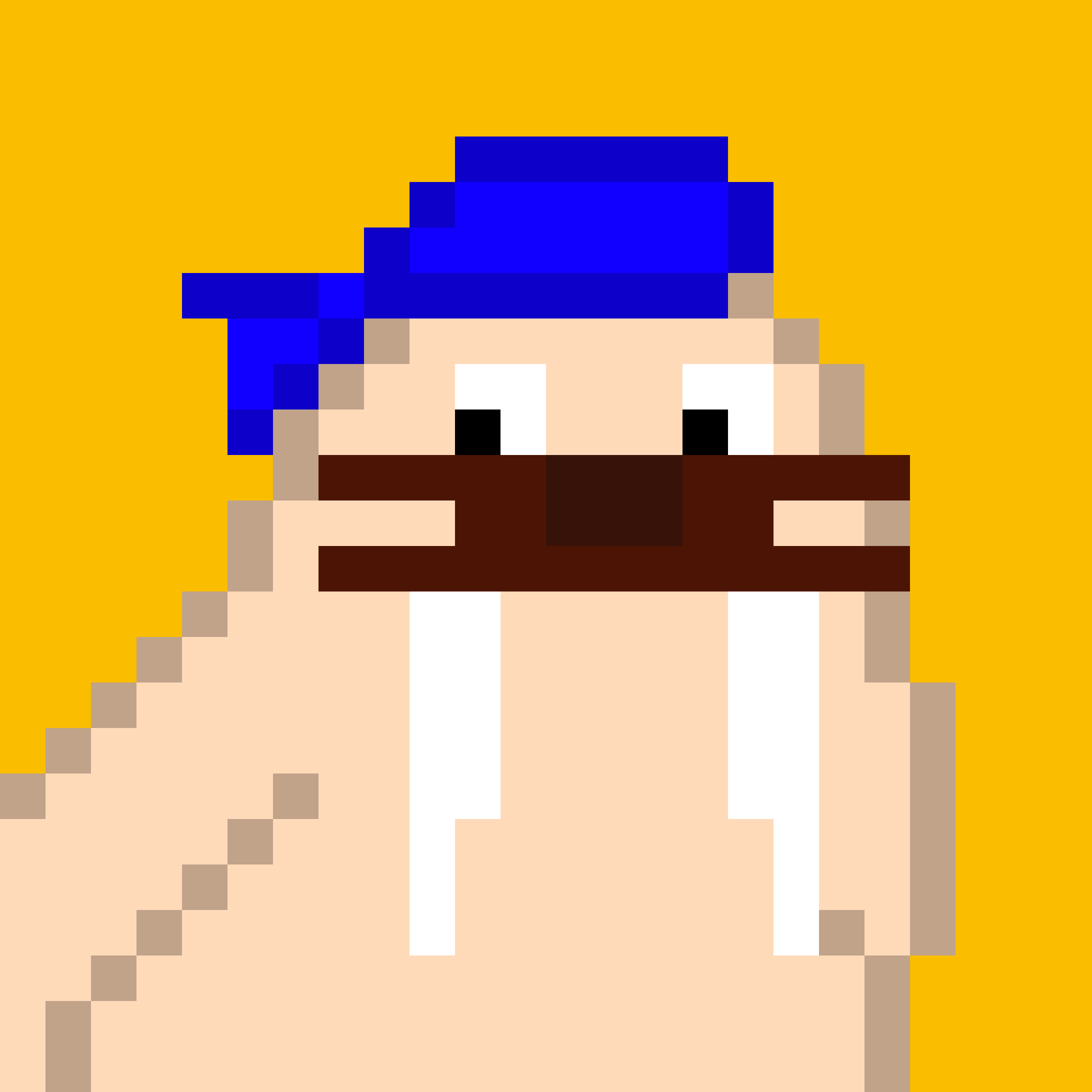 Front for Frosty Walrus #240