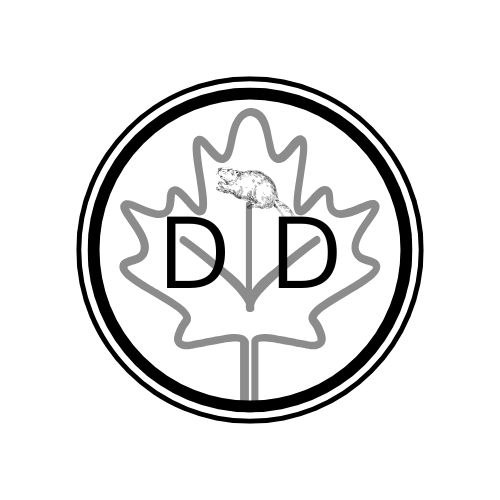 Cover image for Digital Detox