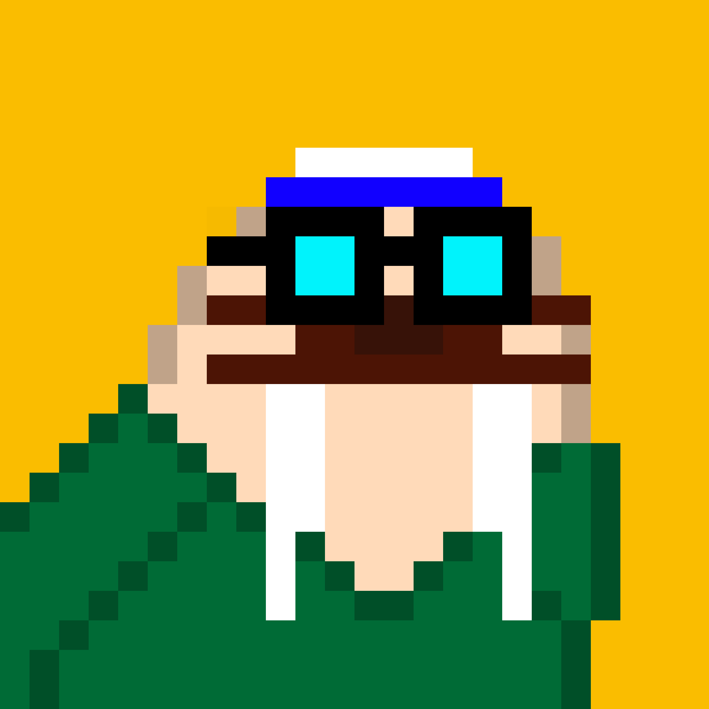 Public for Frosty Walrus #211